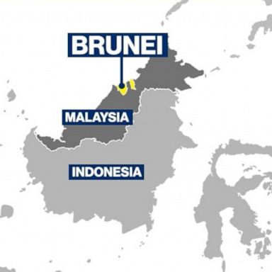 VIDEO: Global backlash against Brunei's new anti-LGBT law