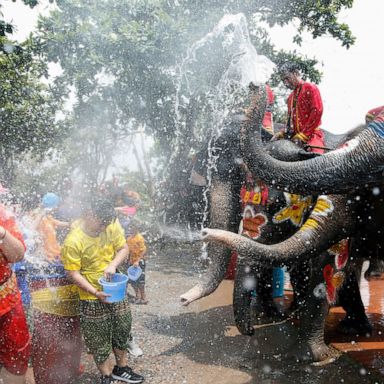 VIDEO: Lemurs, water festival, and Dwyane Wade : World in Photos, April 11 