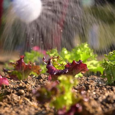 PHOTO: Food waste recycling rate increased from 2.1% in 1995 to 90.2% in 2016, according to South Korea's Ministry of Environment.