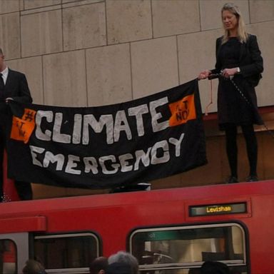 VIDEO: Over 300 climate change protesters arrested in London