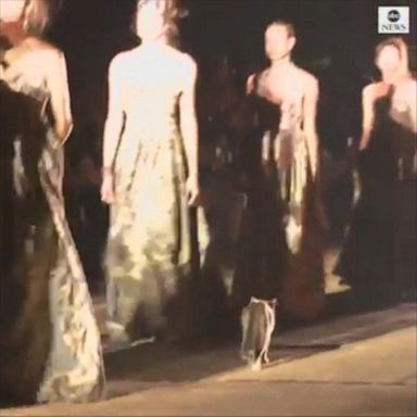 PHOTO: There was a surprise appearance at the Dior fashion show as a feline casually walked down the runway alongside models.