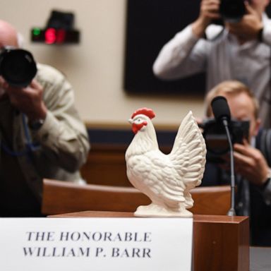 VIDEO: Congressional chickens, May Day, eyes on the ball: World in Photos, May 2