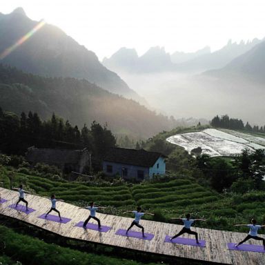 VIDEO: Mountainside yoga, World Cup soccer goal, cuckoo chicks: World in Photos, June 20