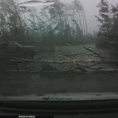 VIDEO: Dangerous drive through falling trees, hail caught on dash-cam