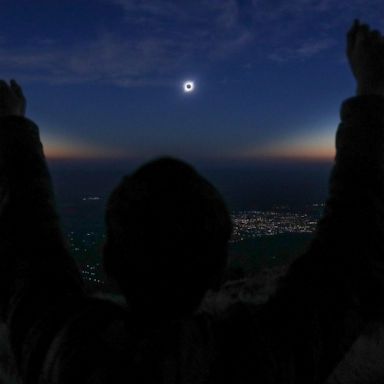 VIDEO: Solar eclipse, Women's World Cup, an orphaned dugong: World in Photos, July 3