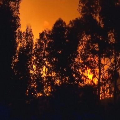 VIDEO: Firefighters work to extinguish wildfires across central Portugal