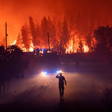 VIDEO: Hot weather, wildfires and swimming : World in Photos, July 22