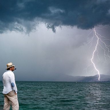 VIDEO: Lightning strike, baby owl, Franz Kafka manuscripts: World in Photos, Aug. 7, 2019