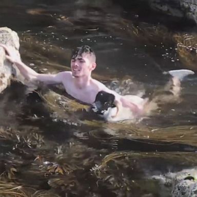 PHOTO: When a father and his two boys heard an animal screeching at a beach in Ireland, they stepped in to help, carrying a trapped sheep from a cave to surrounding rocks before it walked up a hill to safety.