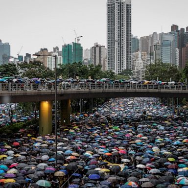 VIDEO: Hong Kong protests, baby rhino, 'Tomatina' : World in Photos, Aug. 19