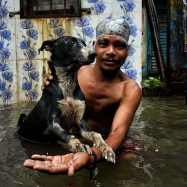 VIDEO: Flooding in India, surfing competition, Afghan forces: World in Photos, Aug. 20