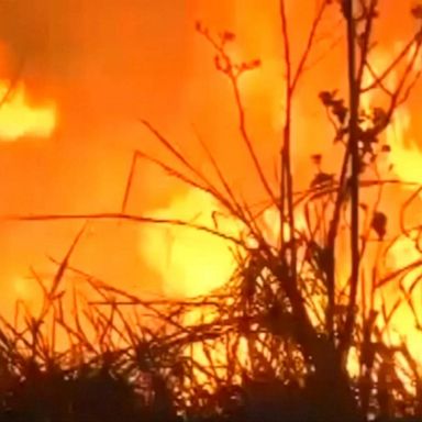 The wildfires are so intense that smoke loomed over the city of Sao Paolo, more than a thousand miles away, according to Greenpeace.