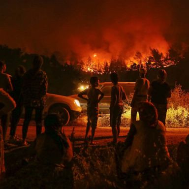 VIDEO: Turkish wildfire, climbing championship, a sunflower blooms: World in Photos, Aug. 21