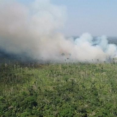 VIDEO: Across the Pond: Amazon rainforest fires rage at record pace