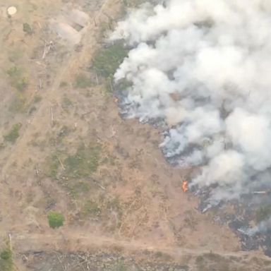 VIDEO: NatGeo explorer talks protecting the Amazon in the midst of ferocious fires