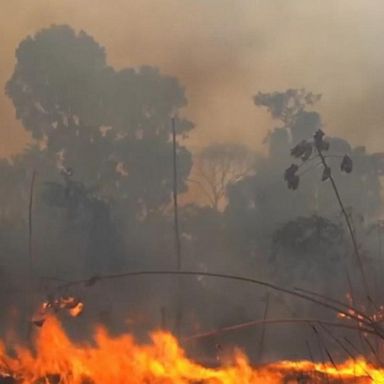 VIDEO: Across the Pond: New fires rage in the Amazon