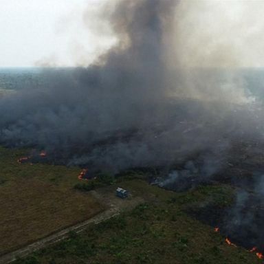 VIDEO: Amazon fires create respiratory issues for people of Brazil