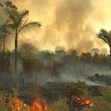 VIDEO: How did the Brazilian wildfires become so devastating?