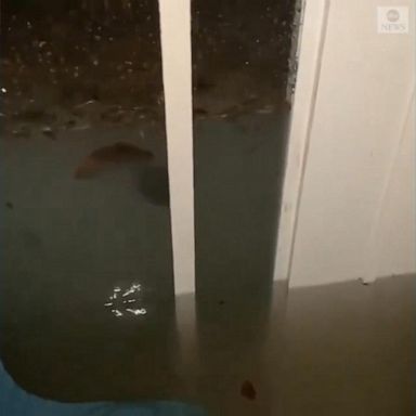 VIDEO: Man wades through flooded home as Dorian batters the Bahamas