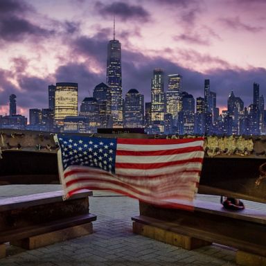 VIDEO: 9/11 memorials, lion cubs, a colony of seagulls: World in Photos, Sept. 11, 2019