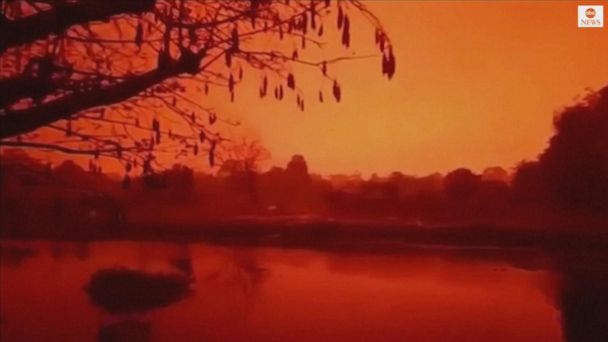 Kritik Wow krabbe Video Vivid red skies envelop Indonesia amid forest fires - ABC News