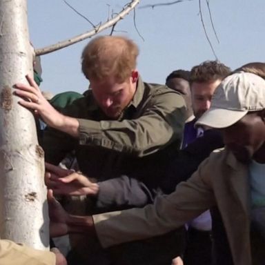 VIDEO: Prince Harry champions climate and wildlife conservation efforts in Africa