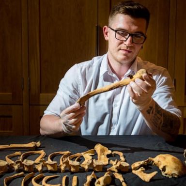 500-year-old bones discovered at the Tower of London