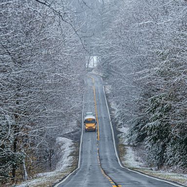 VIDEO: Wintry weather, battling bush fires, Trump and Macron meet: World in Photos, Dec. 4