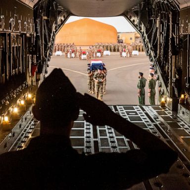 VIDEO: French soldier salutes, Protests in Chile, and A koala recovers: This Week in Photos