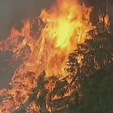 VIDEO: Thousands forced to evacuate amid Australian wildfires 