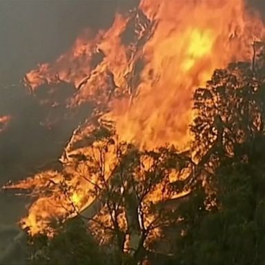 Mass evacuation expected across Australia as fires worsen