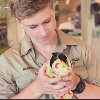 PHOTO: Terri Irwin, the widow of Steve Irwin, and their children, daughter Bindi and son Robert Irwin, own and operate the Australia Zoo’s Wildlife Hospital. 