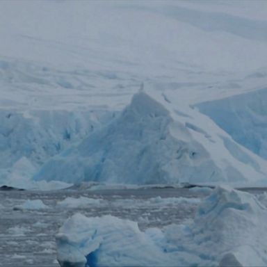 Huge towers of ice split from Antarctica glacier