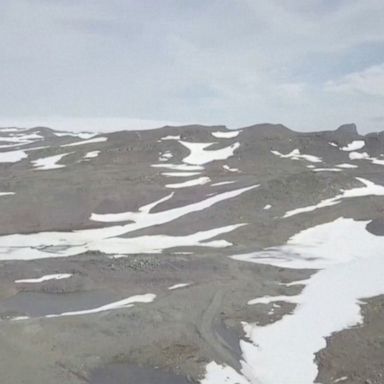 Images show ice-less region of Antarctica following record-high temperatures