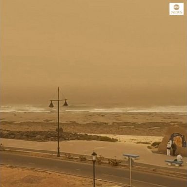 VIDEO: Dust storm turns sky dull orange in Canary Islands