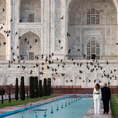 VIDEO: Trump in India, shooting in Germany, Lizzo: The Week in Photos