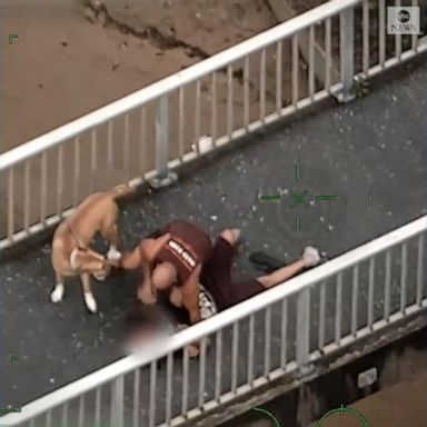 VIDEO: Dog walker tackles fleeing suspect