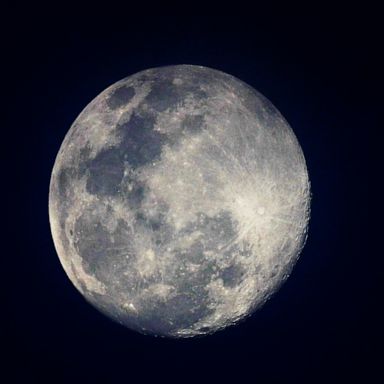 VIDEO: Super Pink Moon, coronavirus, Wisconsin primary: World in Photos, April 7