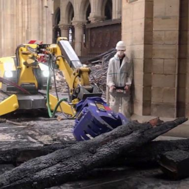 The wooden framework of the famous Parisian cathedral was completely destroyed by the 2019 fire. 