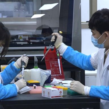 VIDEO: South Korean company aims to fill gap in testing supply