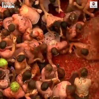 The world’s largest food festival, La Tomatina, had only been suspended once, in 1957.