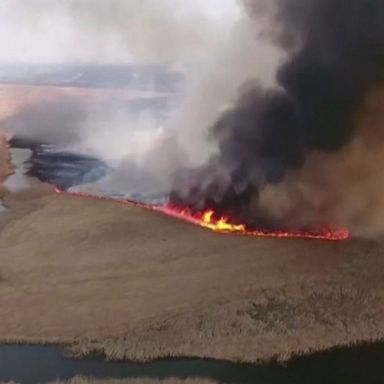 VIDEO: Firefighters battle flames at National Park of Biebrza