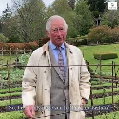 The Pick for Britain campaign, backed by the government, urges the public to help farmers harvest fruits and vegetables that might go to waste due to a lack of workers during the pandemic