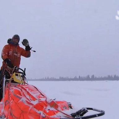 VIDEO: Norwegian musher and Iditarod winner finally goes home