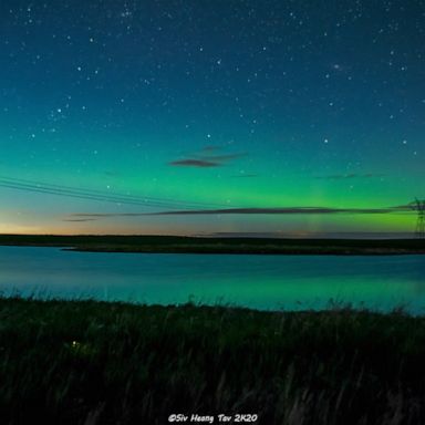 A photographer captured a magical night in Alberta, Canada, as the aurora borealis stretched across the sky and fireflies twinkled below.