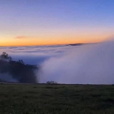 VIDEO: Low-lying fog rolls over hillside