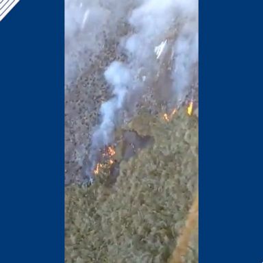 The forest fire occurred in one of Brazil’s highest mountains.