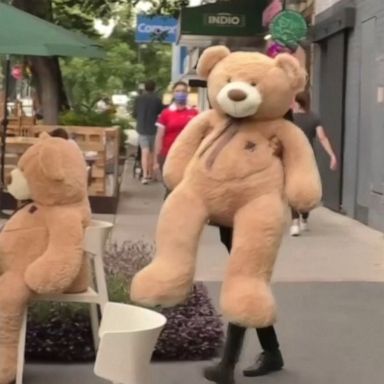 A café in Mexico City used the bears to encourage social distancing. 