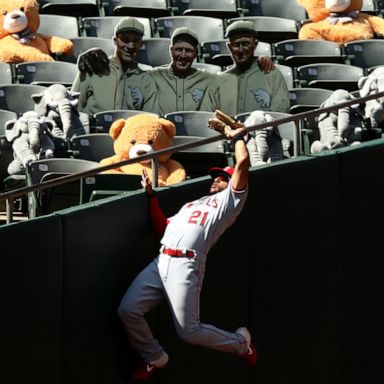 VIDEO: Teddy bear baseball fans, Pakistan floods, Haj pilgrimage: World in Photos, July 29