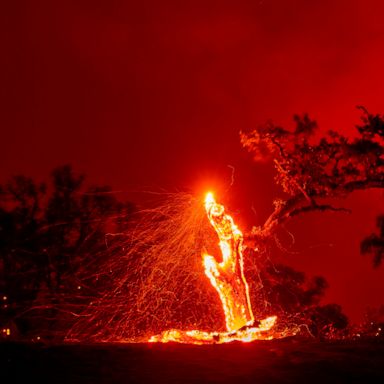 VIDEO: California fires, Democratic convention, Golden State Killer: World in Photos, Aug. 19